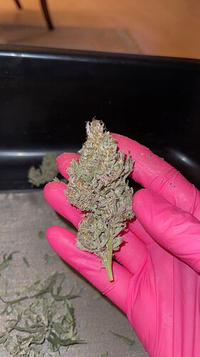 Growreport Bild 53