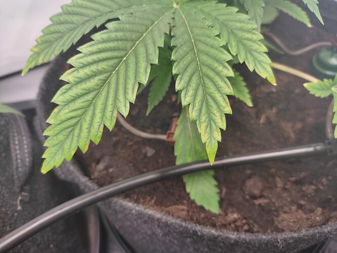 Growreport Bild 8