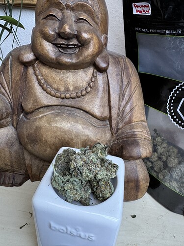 Growreport Bild 1