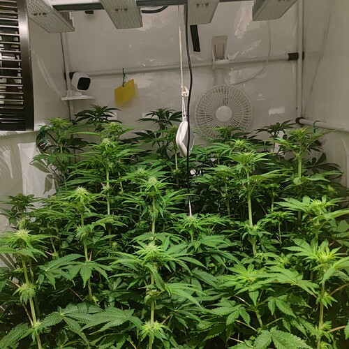Growreport Bild 9