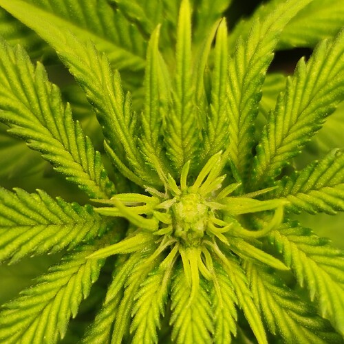 Growreport Bild 17