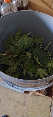 IMG_20250211_123330797_HDR