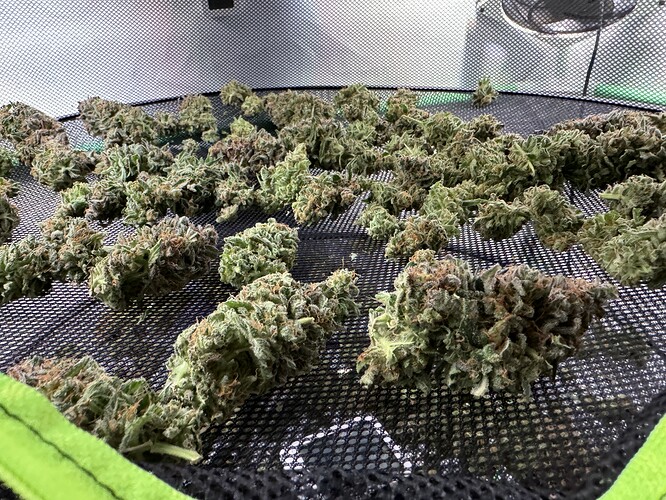 Growreport Bild 30