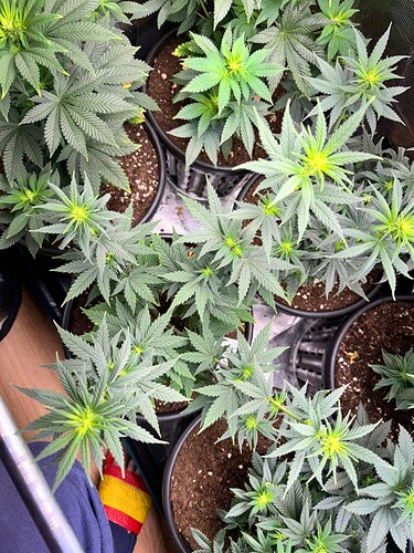 WhatsApp Image 2024-05-18 at 09.46.55 (1)