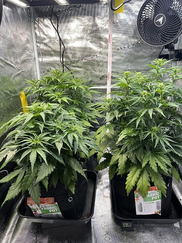 Growreport Bild 12