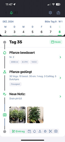 Growreport Bild 5