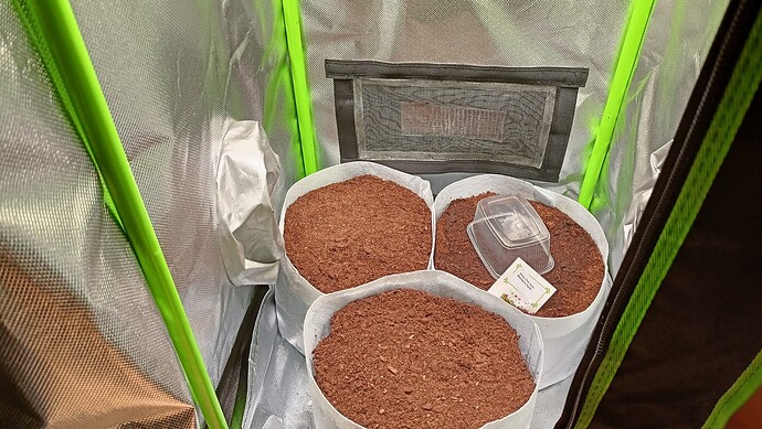 Growreport Bild 23