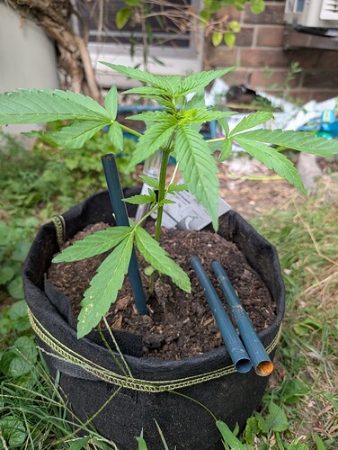 Growreport Bild 11