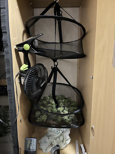 Growreport Bild 15
