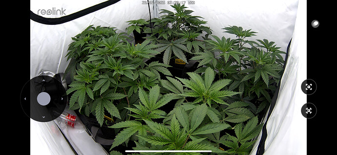 Growreport Bild 1