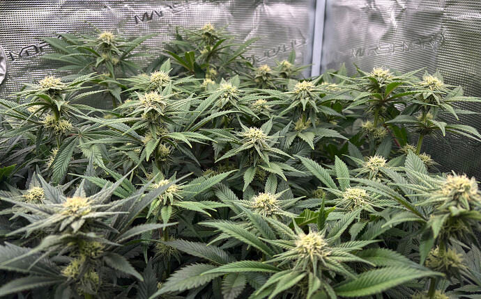 Foto 17.01.26, 06 06 21