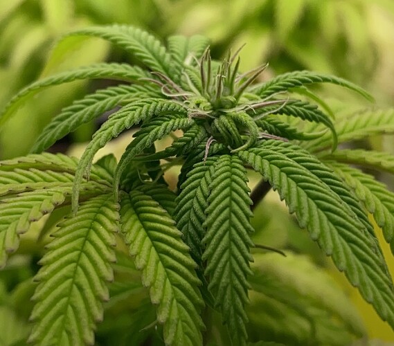 Growreport Bild 26