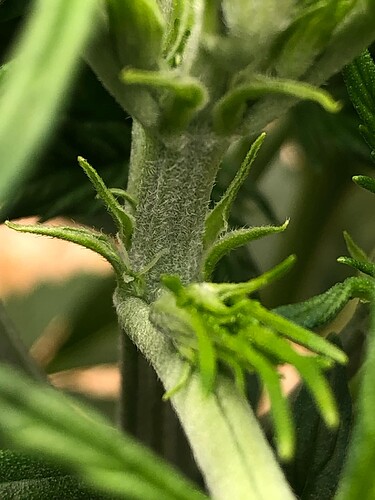 Growreport Bild 17