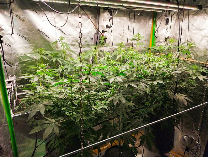 Growreport Bild 18