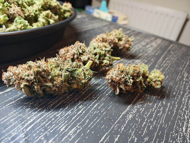 Growreport Bild 10