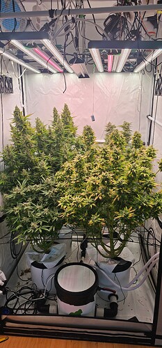 Growreport Bild 1
