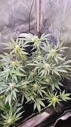 Growreport Bild 10