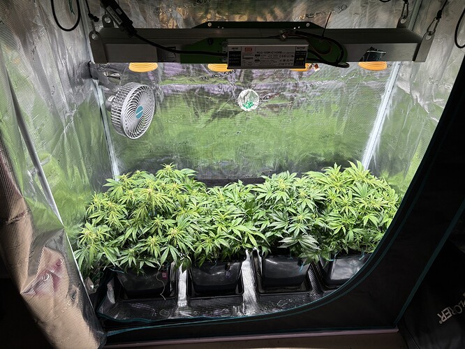 Growreport Bild 3