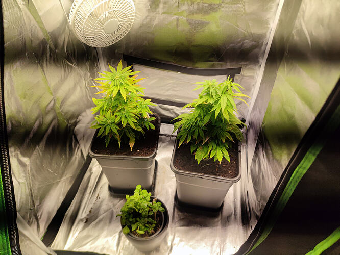 Growreport Bild 3