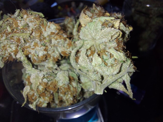 Growreport Bild 3