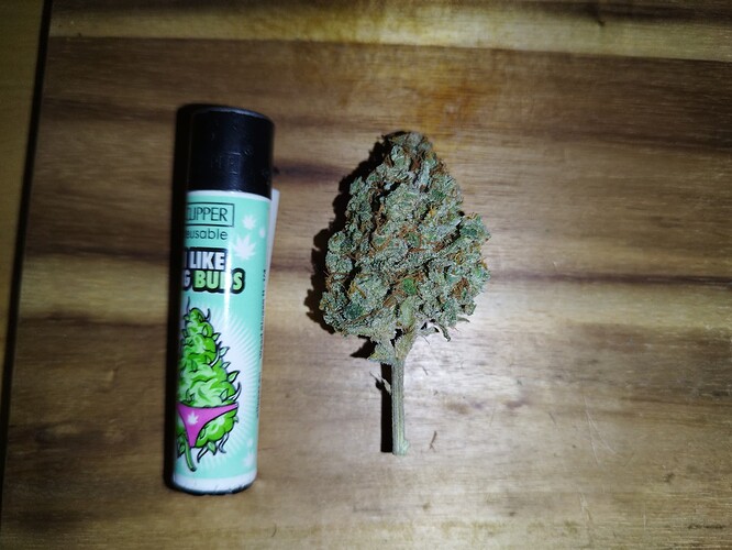 Ein einzelner Cannabis-Bud liegt neben einem Feuerzeug auf einer Holzoberfläche.