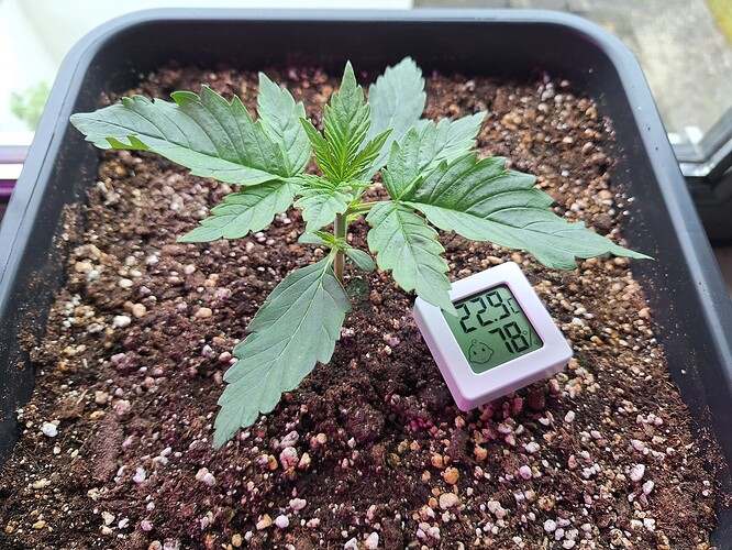 Growreport Bild 5
