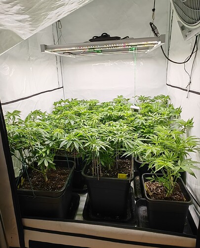 Growreport Bild 1