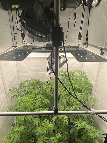 Growreport Bild 7