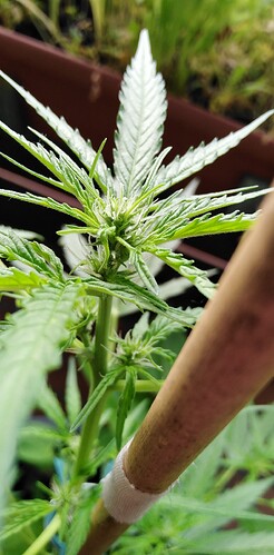 Growreport Bild 16