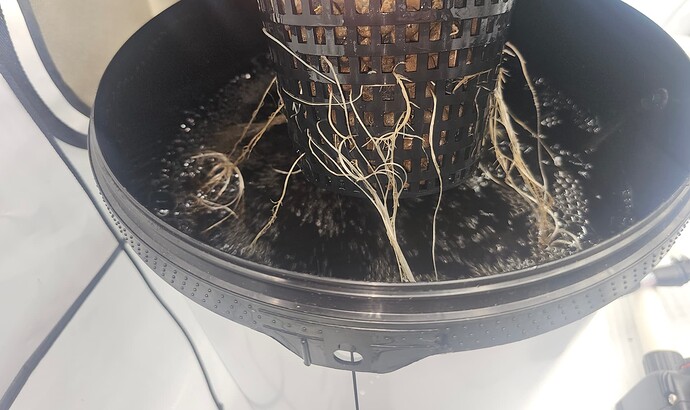 Growreport Bild 12