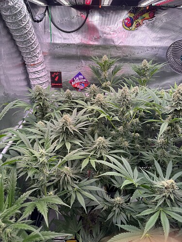 Growreport Bild 9