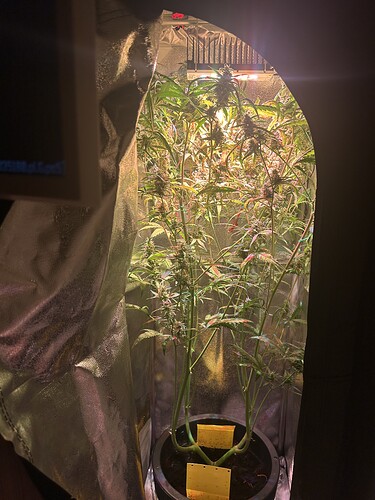 Growreport Bild 1