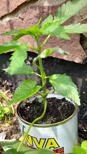Growreport Bild 18