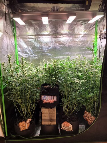 Growreport Bild 12