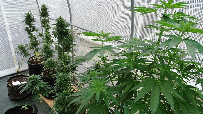 Growreport Bild 12