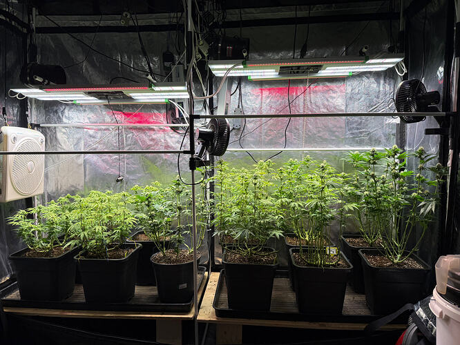 Growreport Bild 18