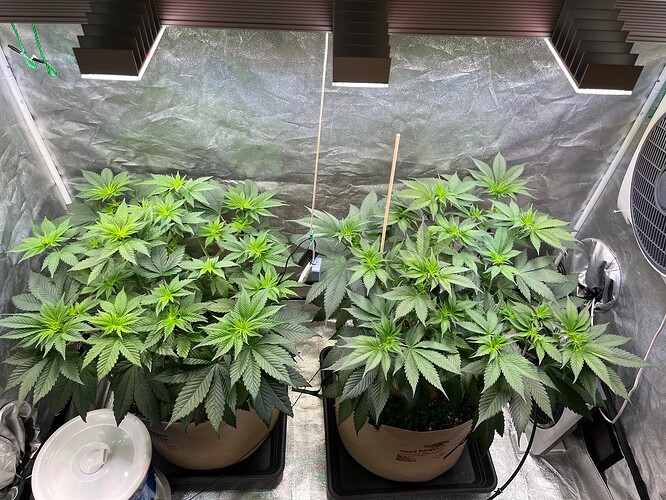Growreport Bild 7