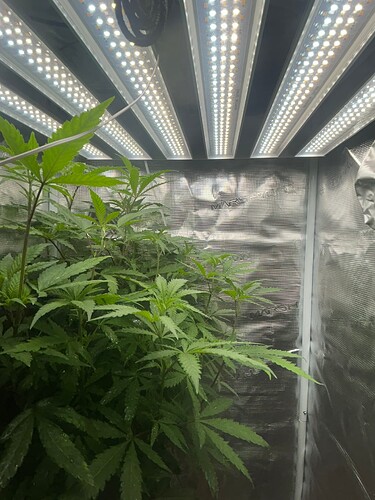 Growreport Bild 47