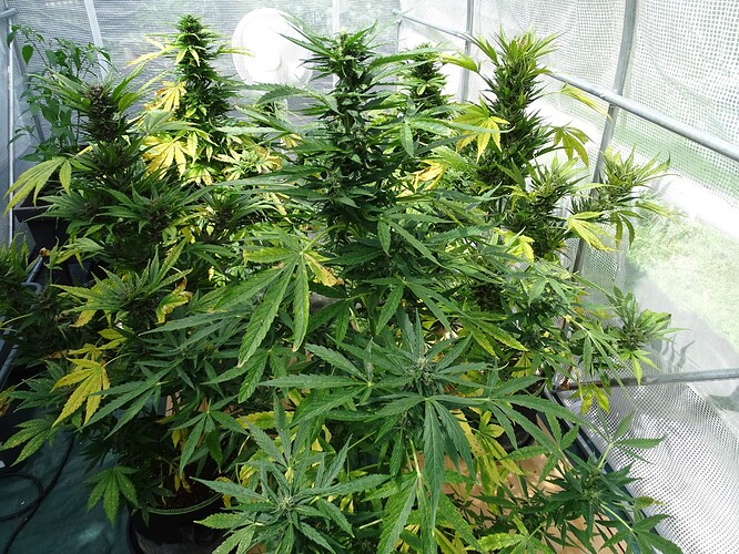 Growreport Bild 14