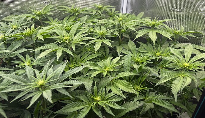 Foto 30.12.25, 13 41 28