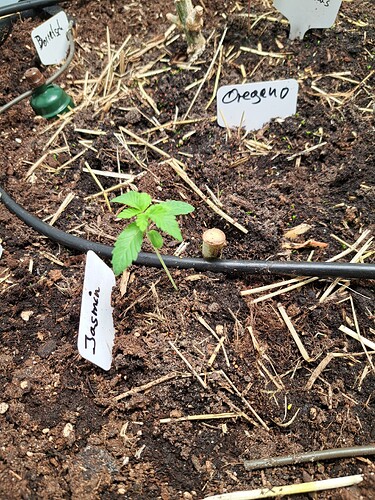 Growreport Bild 9