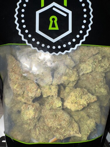 Growreport Bild 64