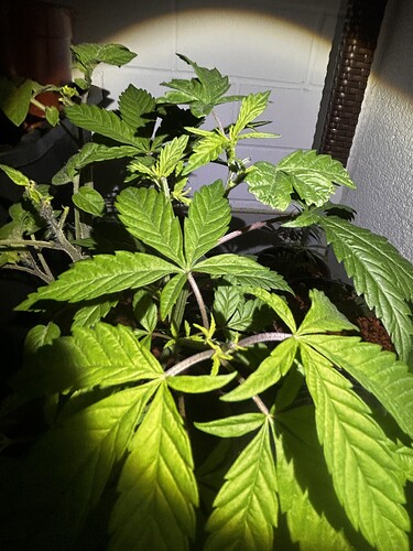 Growreport Bild 42