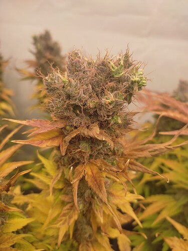 Growreport Bild 21