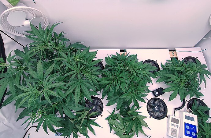 Growreport Bild 8