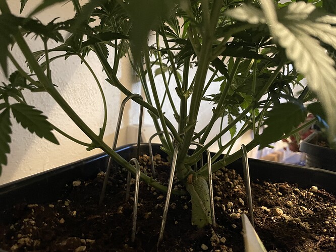 Growreport Bild 18