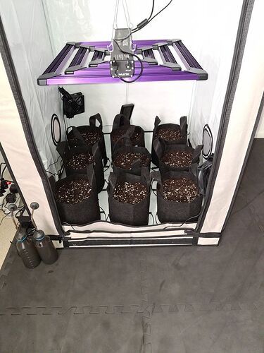 Growreport Bild 6