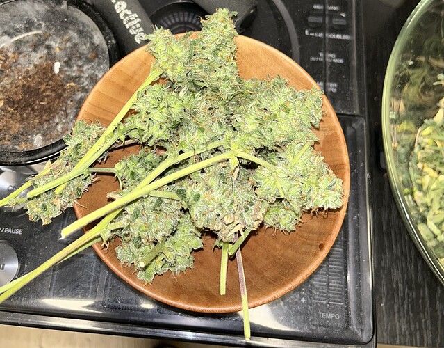 Growreport Bild 13