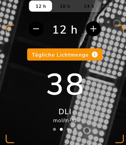 Growreport Bild 1