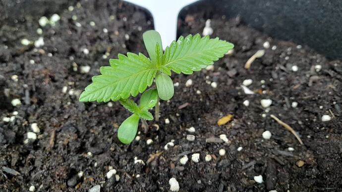 Growreport Bild 14